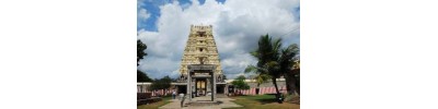 251. திருவாலங்காடு